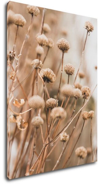 Impresi Tablou Scandinavian style dry grass - 50 x 70 cm