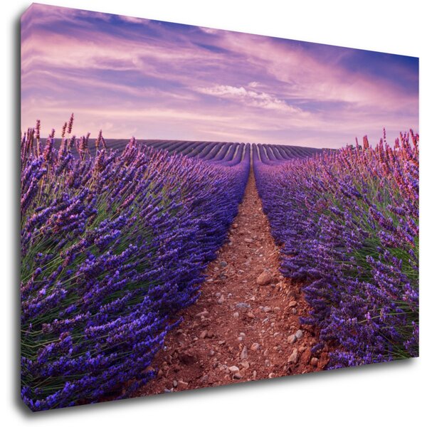 Impresi Tablou Lavender field - 60 x 40 cm