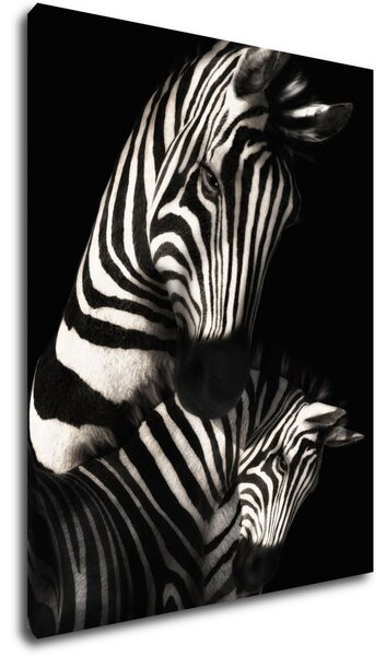 Impresi Tablou Zebras black and white - 70 x 90 cm