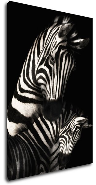 Impresi Tablou Zebras black and white - 60 x 40 cm