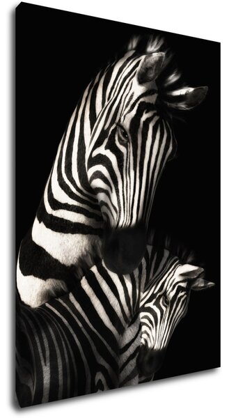 Impresi Tablou Zebras black and white - 50 x 70 cm