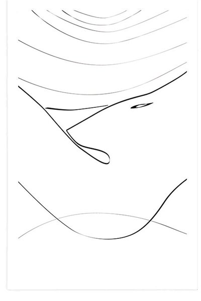 Poster linia corpului feminin