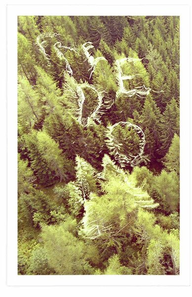 Poster pădure cu inscripție Freedom