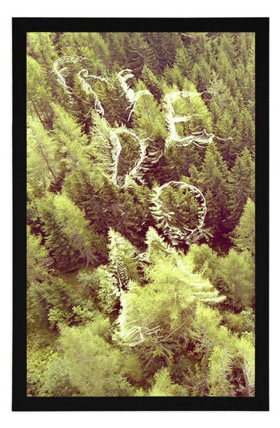 Poster pădure cu inscripție Freedom
