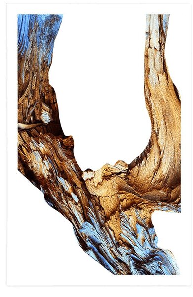 Poster abstracția scoarței de copac