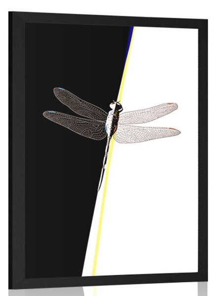 Poster frumusețea libelulei