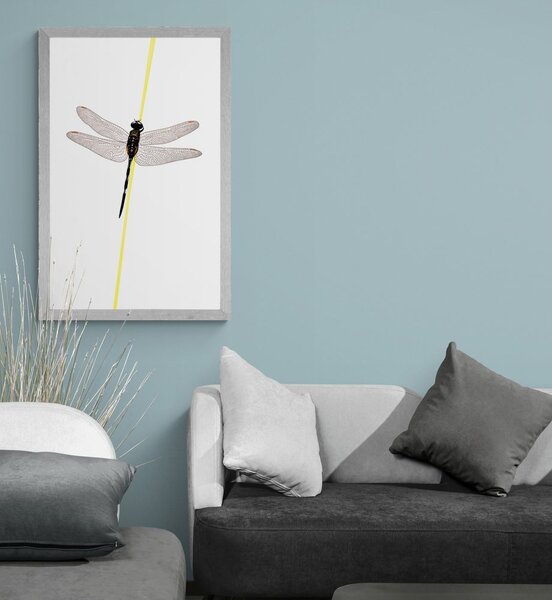 Poster farmecul libelulei