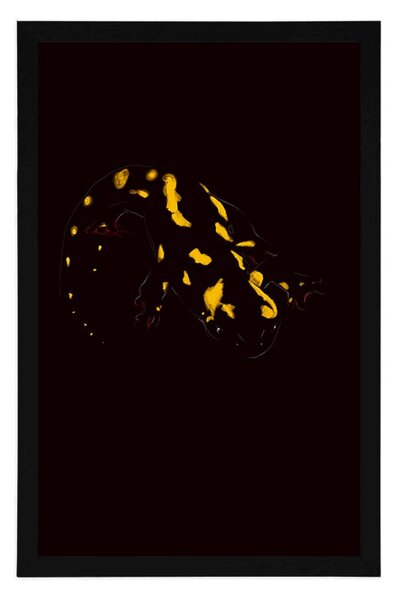 Poster salamandra strălucitoare