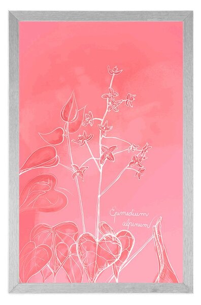 Poster planta uimitoare Epimedium alpinum