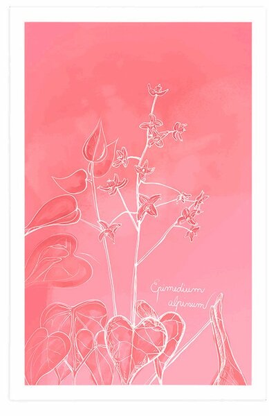Poster planta uimitoare Epimedium alpinum