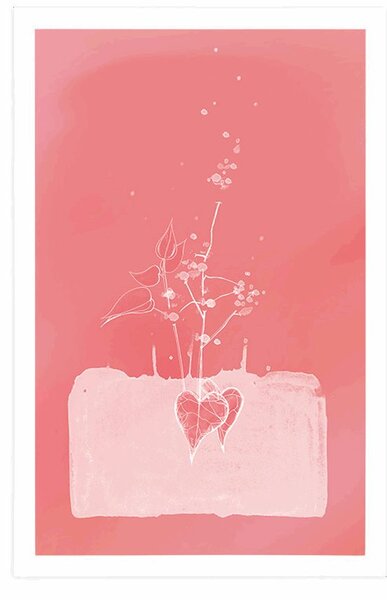 Poster farmecul roz al unei flori