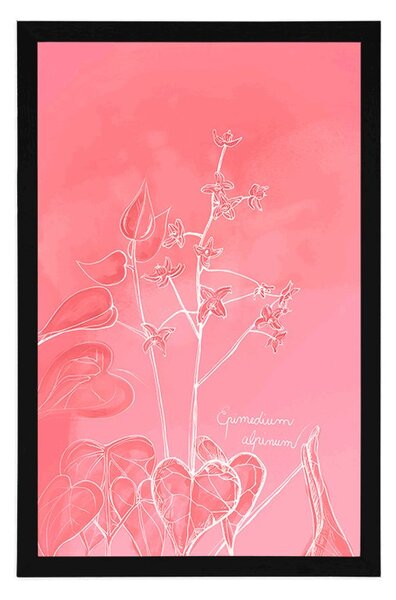 Poster planta uimitoare Epimedium alpinum