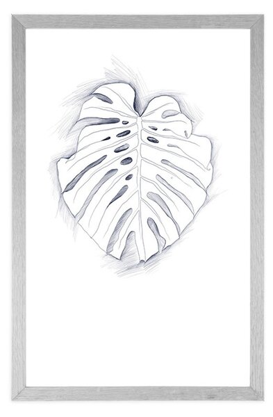 Poster cu passepartout frunză monstrului