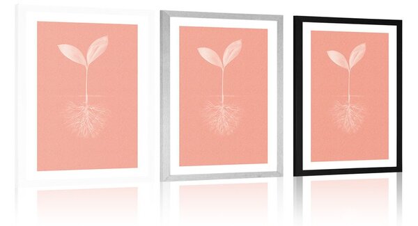 Poster cu passepartout pitorescul naturii