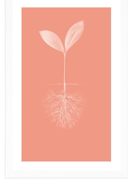 Poster cu passepartout pitorescul naturii