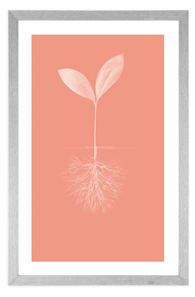 Poster cu passepartout pitorescul naturii
