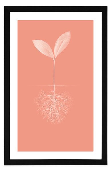 Poster cu passepartout pitorescul naturii