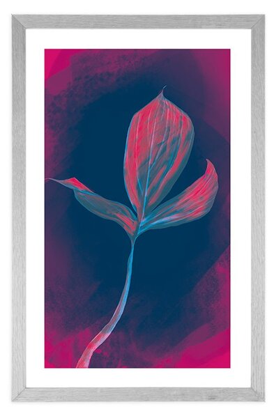 Poster cu passepartout plantă fermecătoare