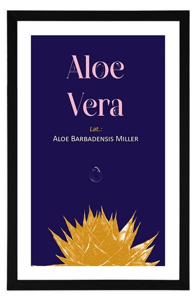 Poster cu passepartout și inscripția Aloe Vera