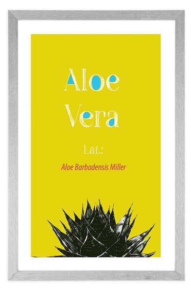 Poster cu passepartout Aloe Vera miraculoasă