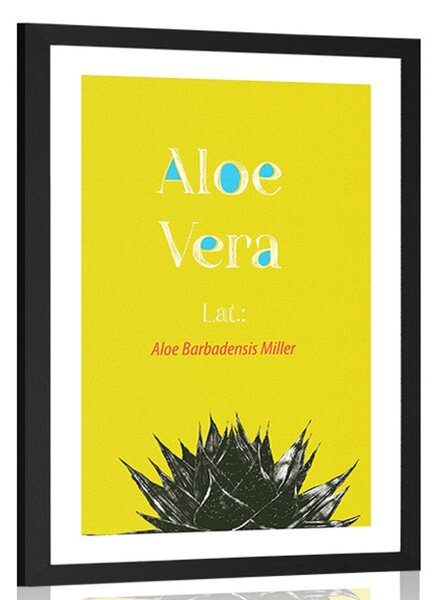Poster cu passepartout Aloe Vera miraculoasă