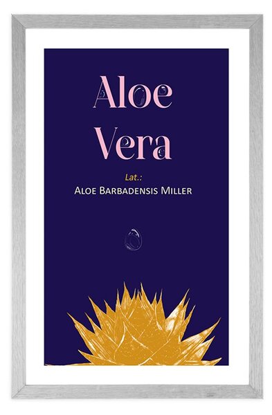 Poster cu passepartout și inscripția Aloe Vera