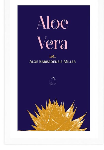 Poster cu passepartout și inscripția Aloe Vera