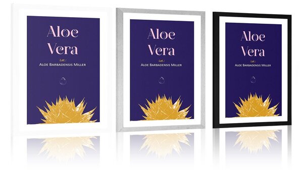 Poster cu passepartout și inscripția Aloe Vera