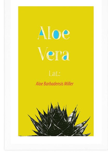 Poster cu passepartout Aloe Vera miraculoasă