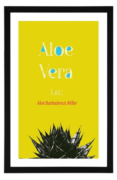 Poster cu passepartout Aloe Vera miraculoasă
