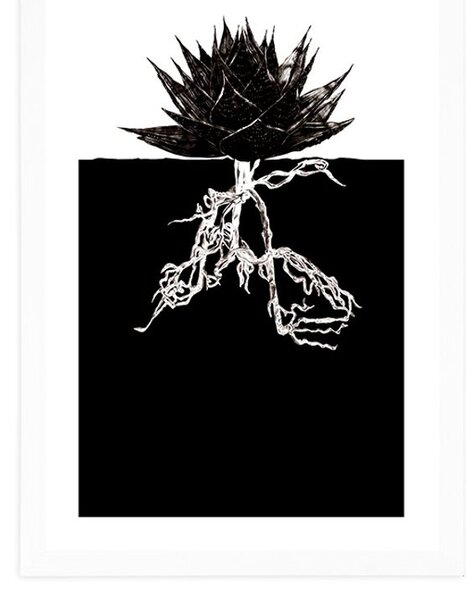 Poster cu passepartout nemurirea plantelor