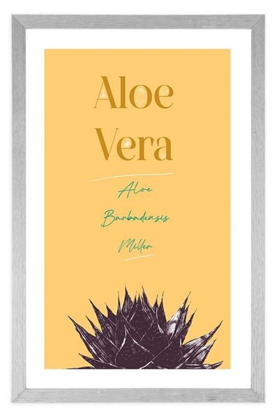 Poster cu passepartout și cu inscripție elegantă Aloe Vera