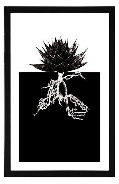 Poster cu passepartout nemurirea plantelor