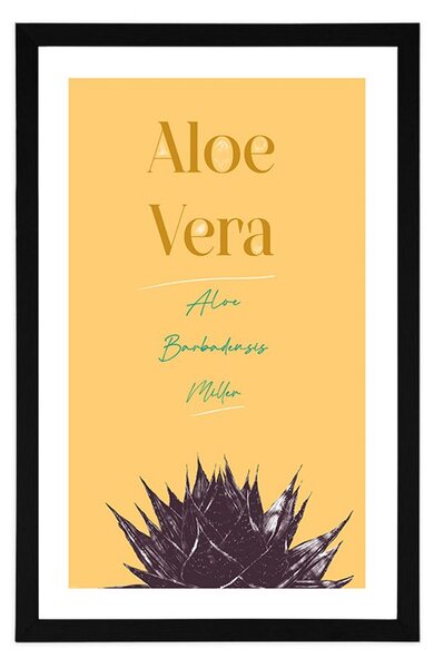 Poster cu passepartout și cu inscripție elegantă Aloe Vera