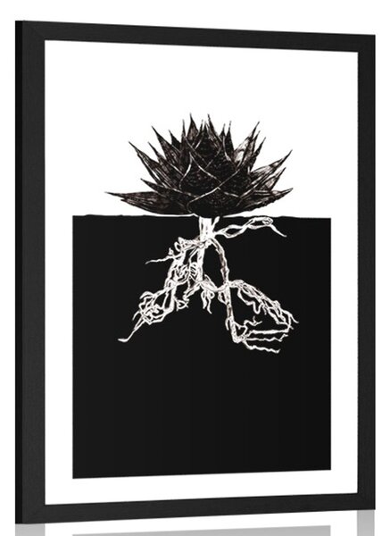 Poster cu passepartout nemurirea plantelor