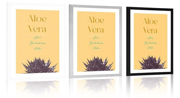 Poster cu passepartout și cu inscripție elegantă Aloe Vera