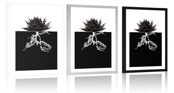 Poster cu passepartout nemurirea plantelor