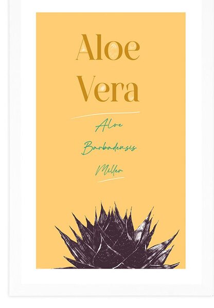 Poster cu passepartout și cu inscripție elegantă Aloe Vera