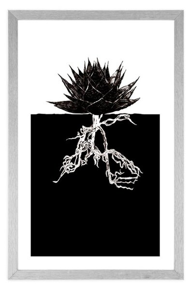 Poster cu passepartout nemurirea plantelor