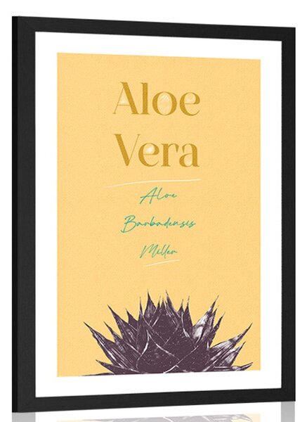 Poster cu passepartout și cu inscripție elegantă Aloe Vera