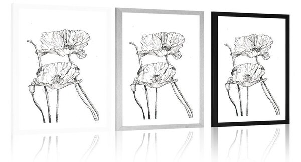 Poster cu passepartout flori de mac minimaliste