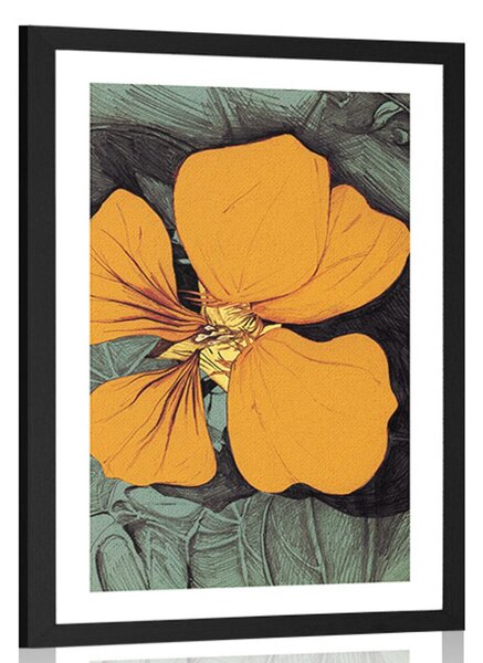 Poster cu passepartout capucin viu colorat