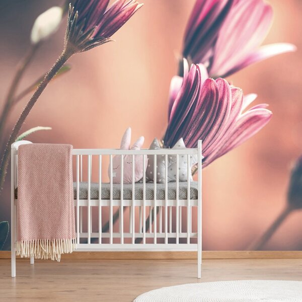 Fototapet flori roz delicate