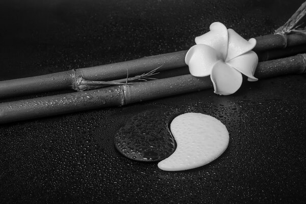 Fototapet natură moartă cu Yin și Yang în alb-negru