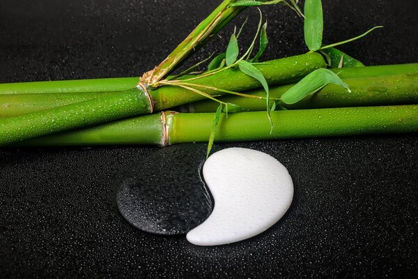 Fototapet pietre în formă de Yin și Yang