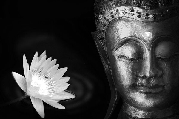 Tapet divinul Buddha în alb-negru