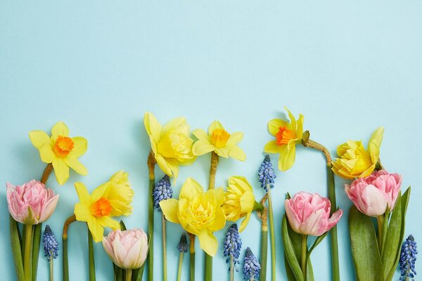 Fototapet compoziția florală de primăvară