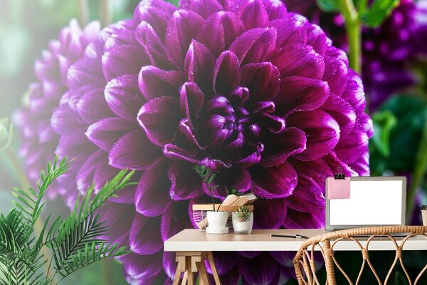 Fototapet floare violetă frumoasă
