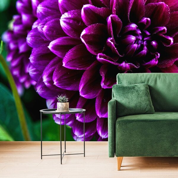 Fototapet floare violetă frumoasă