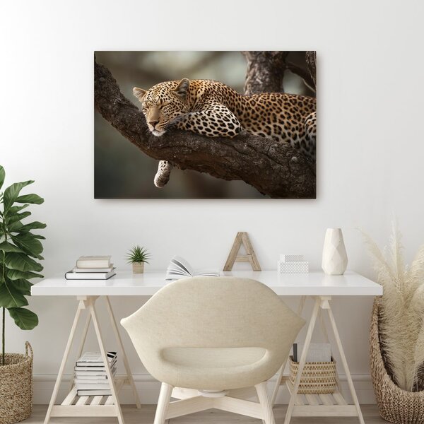 Tablou leopard odihnindu-se pe un copac